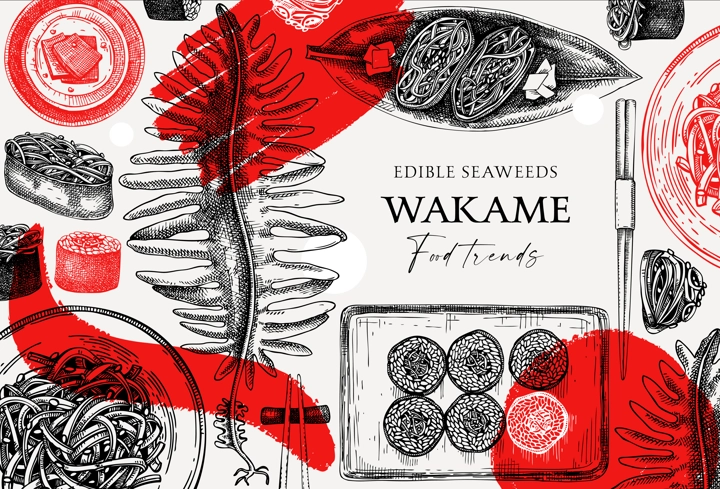 Edible seaweed frame design in collage style. Hand drawn wakame sketches. Sea vegetables vector illustration. Japanese cuisine dishes menu. Healthy food ingredients in engraved style
